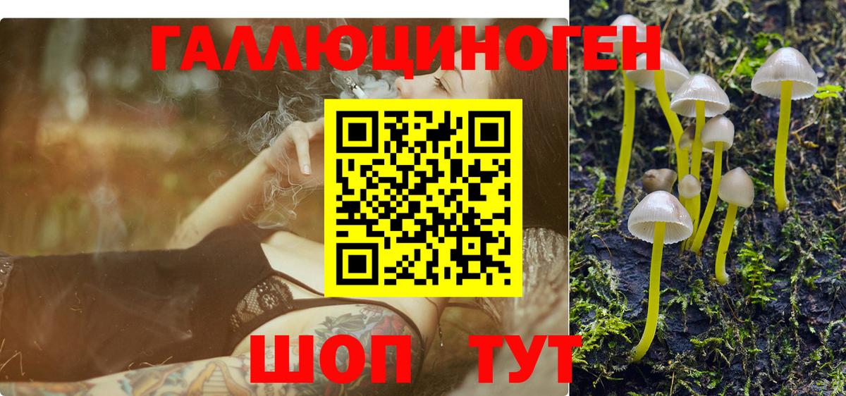 Еманжелинск  Галлюциногенные грибы Cubensis  Псилоцибиновые грибы Psilocybine cubensis  Вход с VPN 