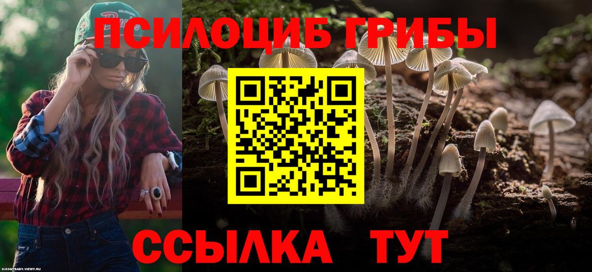 Псилоцибиновые грибы Psilocybine cubensis Еманжелинск